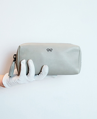 Anya Hindmarch Pouch, front view